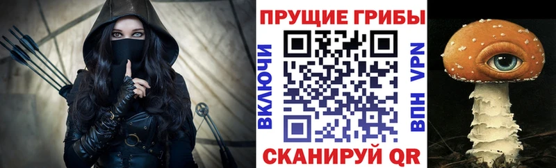 omg зеркало  Бавлы  Псилоцибиновые грибы Cubensis  купить наркотик 